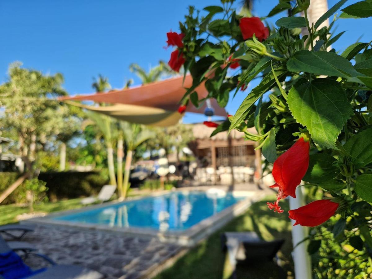 Hotel Enjoy Las Terrenas Exteriér fotografie